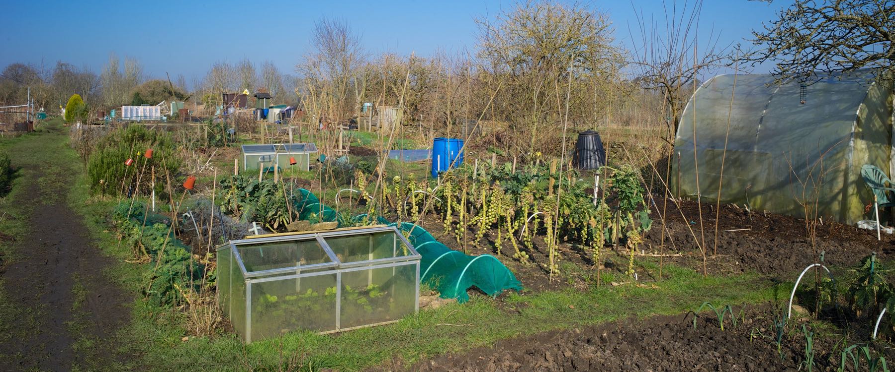 Allotments - Corsham Town Council