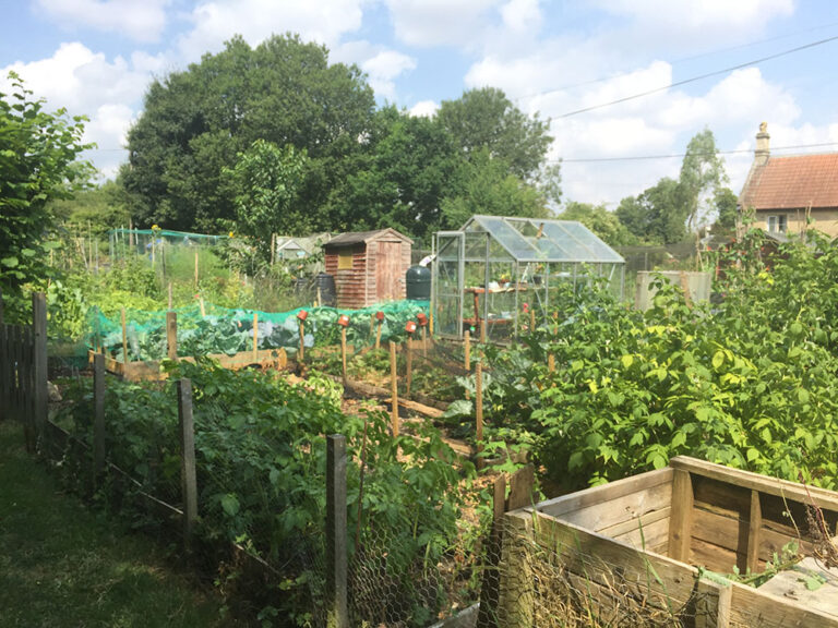 Allotments - Corsham Town Council